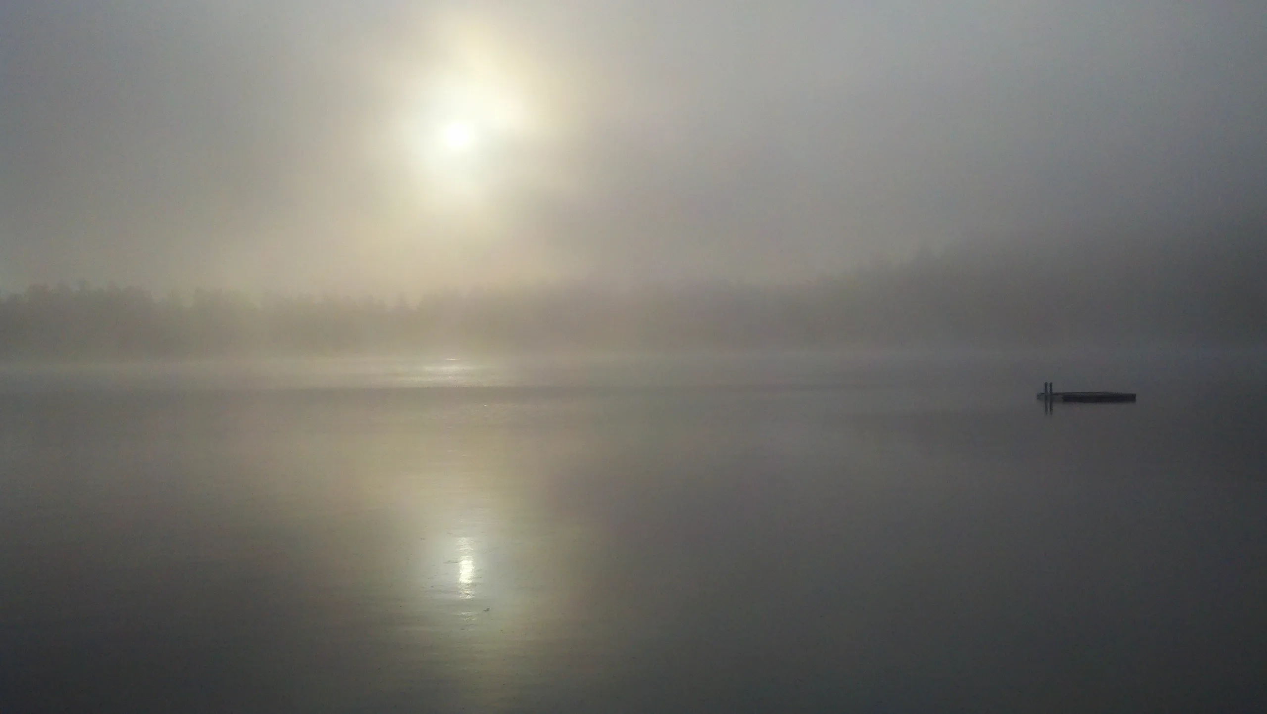 Bring in a Bit of Wonder