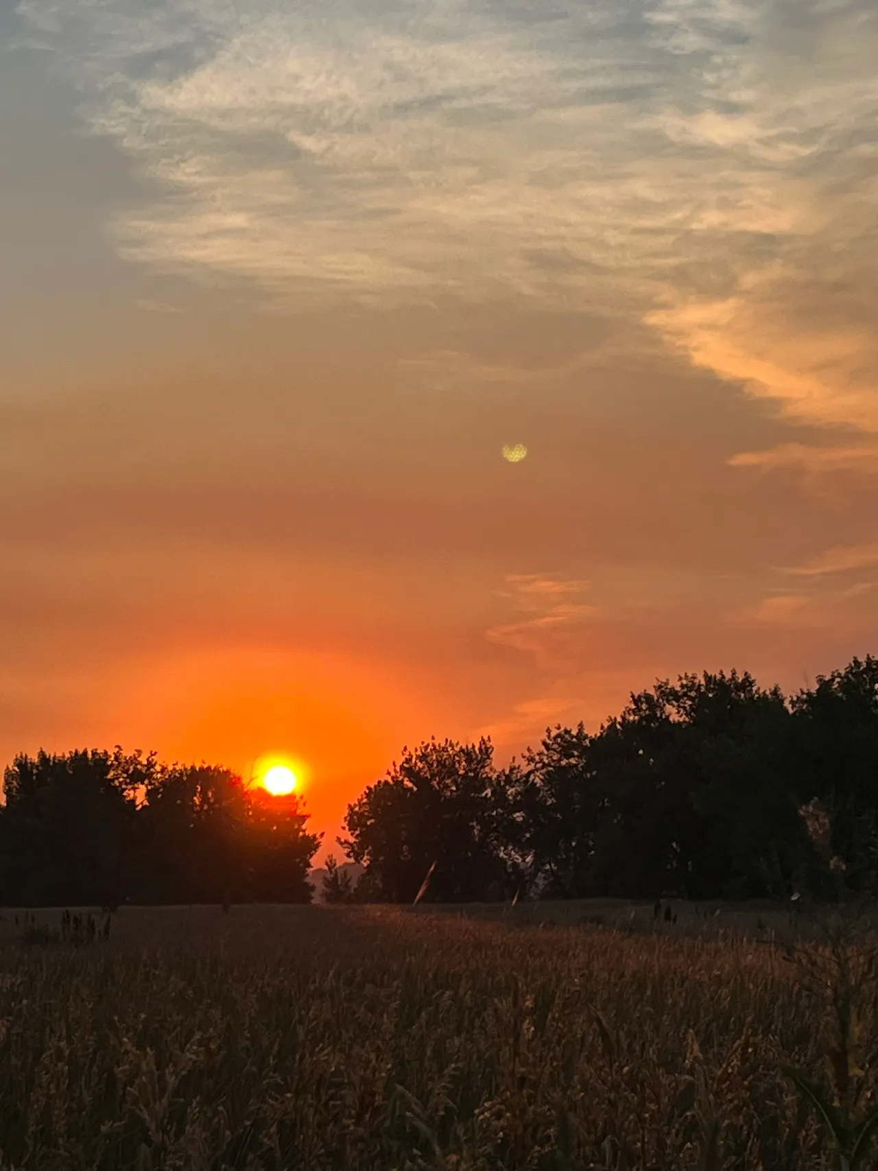 Nature and Mental health